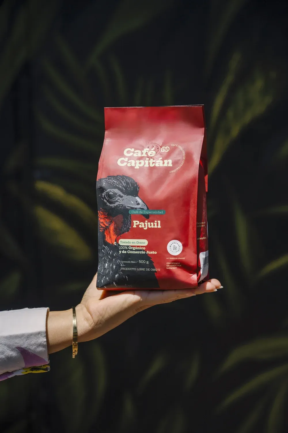CAFÉ PAJUIL | 500G